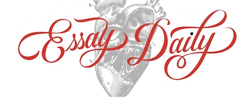 essay daily logo