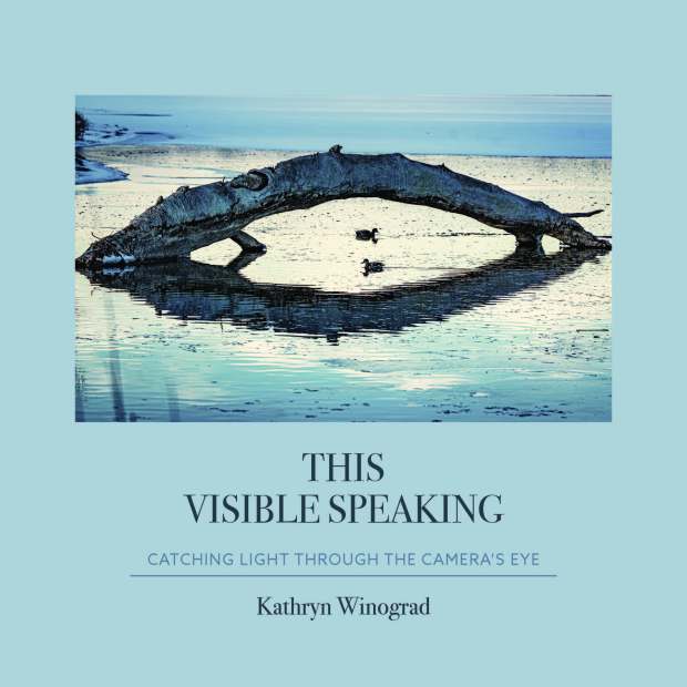 Book Cover: This Visible Speaking