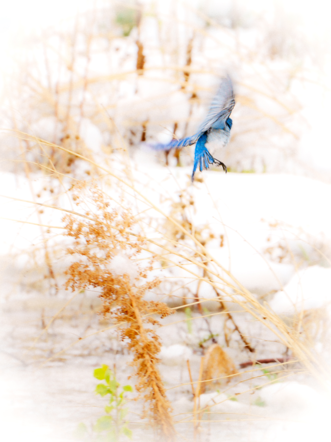 Photography and Poetry: Passing Over A River
